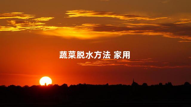蔬菜脱水方法 家用